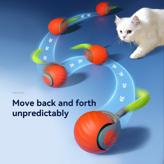 USB-C Smart Cat Ball – Automatic Teaser Toy for Cats